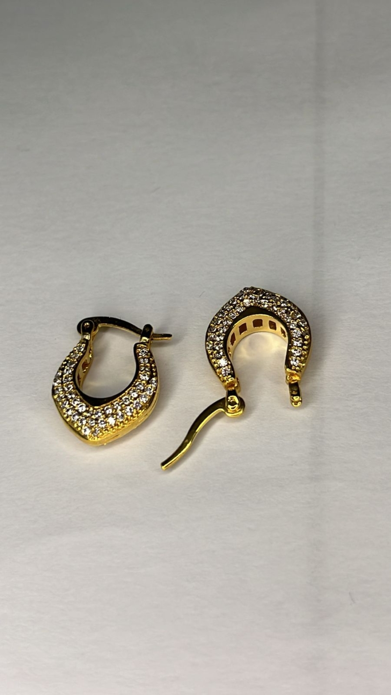 Brinco Argolinha Elegance Cravejada