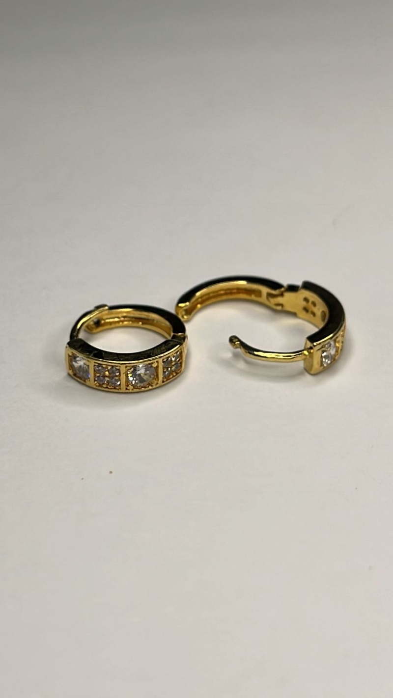 Brinco Argolinha Elegance Crista